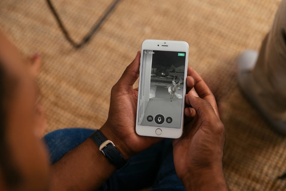 Bucoda WA security system